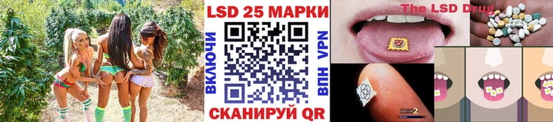 как найти закладки  ссылка на мегу ССЫЛКА  Марки N-bome 1500мкг  Находка 